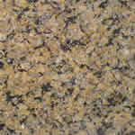 tropical brown